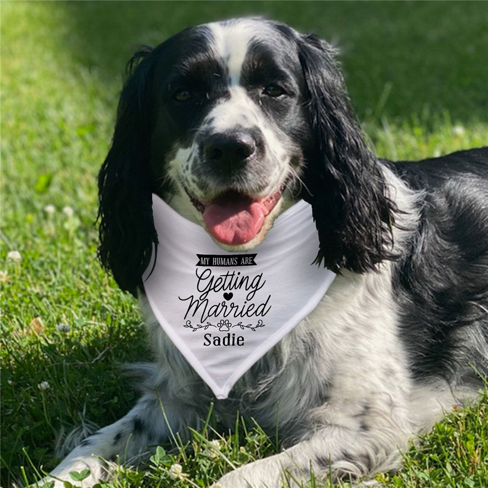 Personalized My Humans are getting married Dog Bandana
