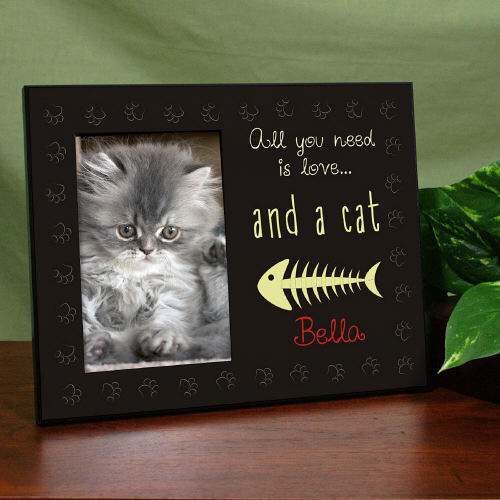 all you need is a cat frame - Sunny Jar Personalized™