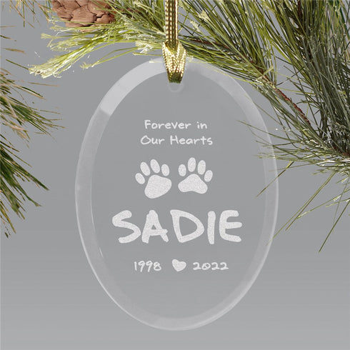 Engraved Pet Memorial Suncatcher - Sunny Jar Personalized™