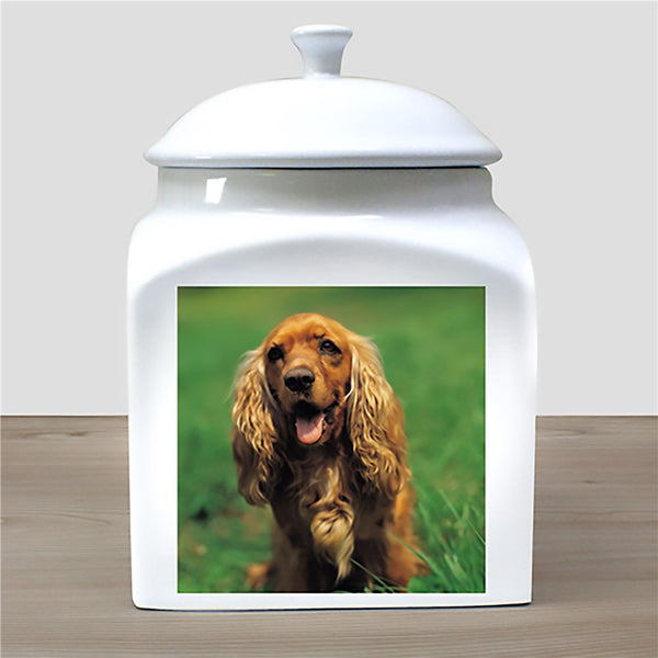 Photo Ceramic Pet Urn - Sunny Jar Personalized™