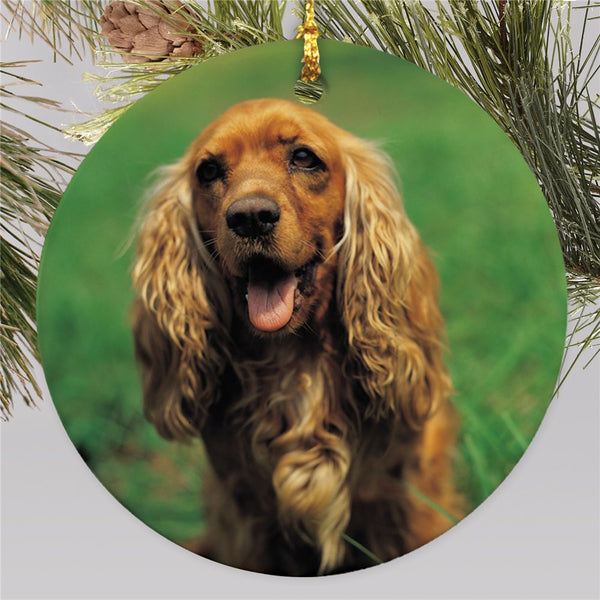 Picture Perfect Pet Photo Ornament - Sunny Jar Personalized™